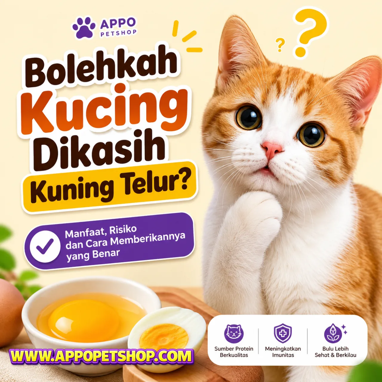 Bolehkah Kucing Dikasih Kuning Telur? Ini Manfaat, Efek Samping, dan Cara Aman Memberikannya