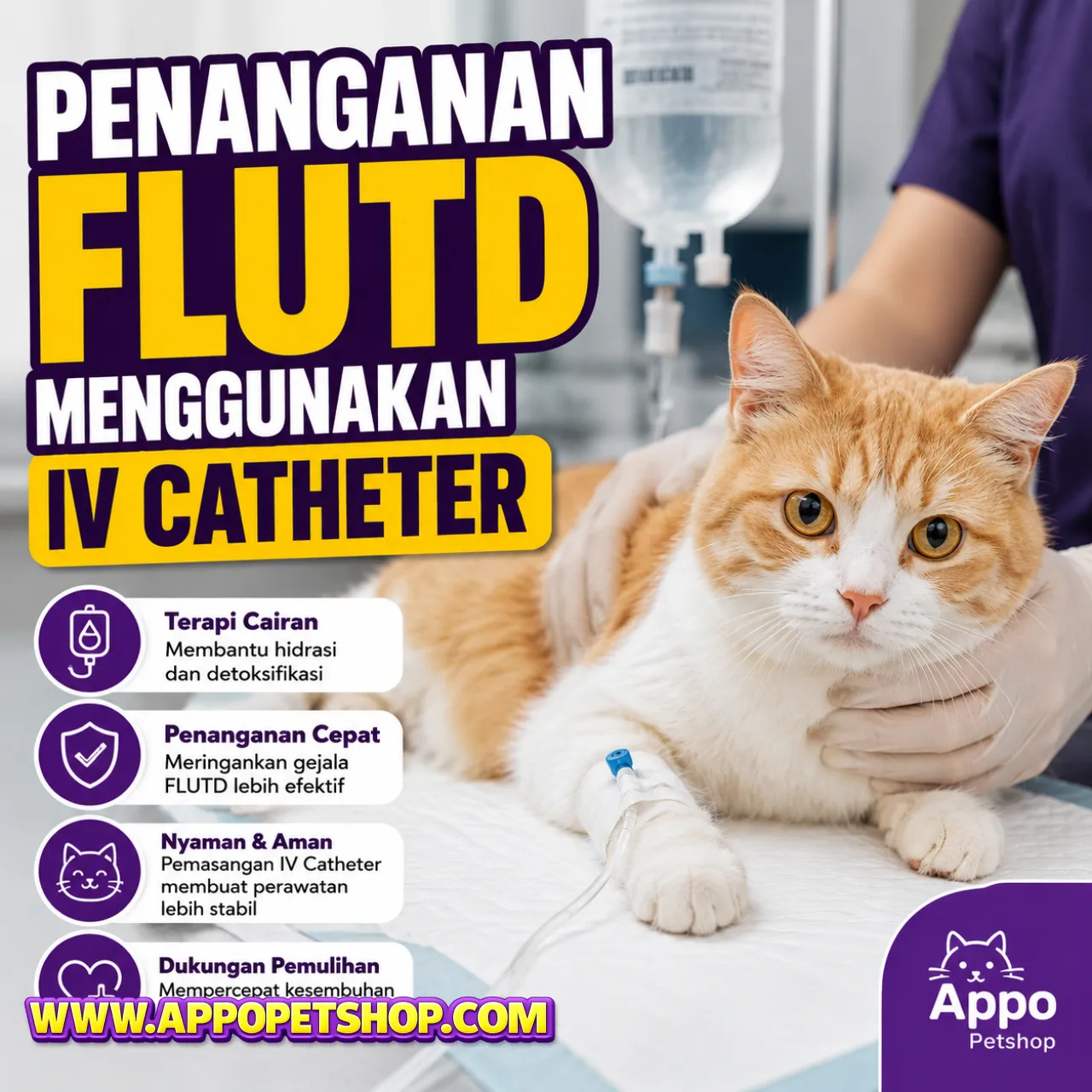 Penanganan FLUTD Menggunakan IV Catheter