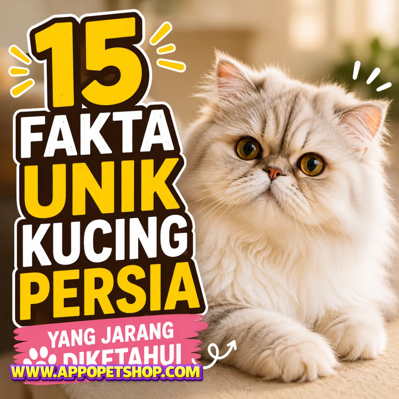 15 Fakta Unik Kucing Persia yang Jarang Diketahui