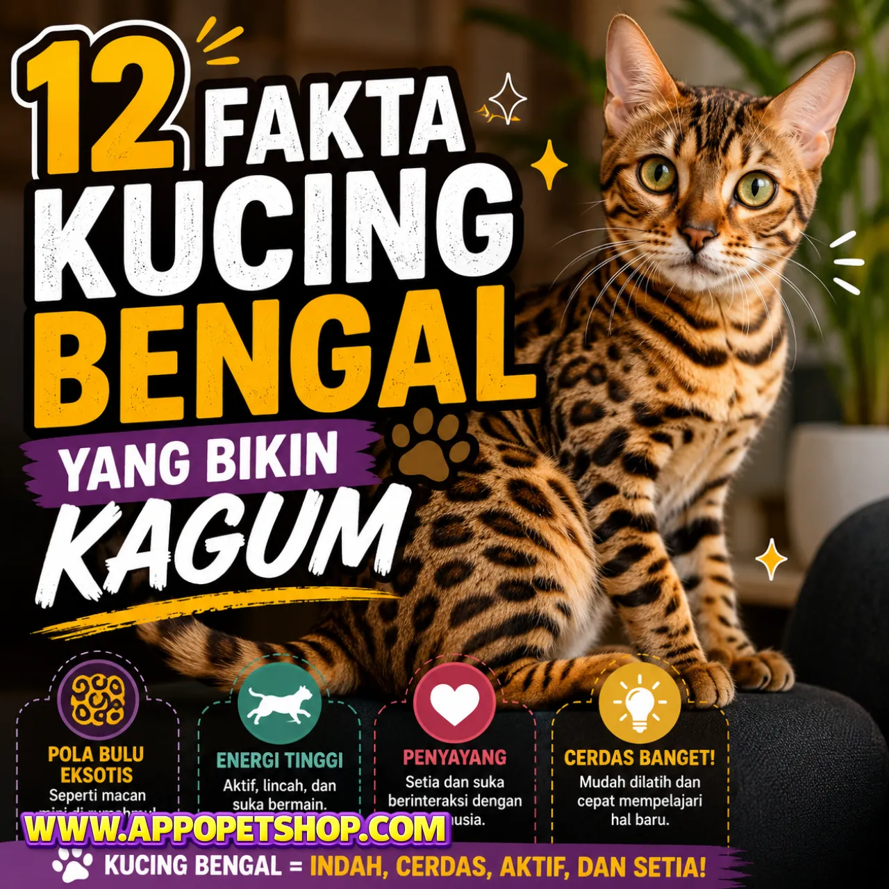 12 Fakta Kucing Bengal yang Bikin Kagum