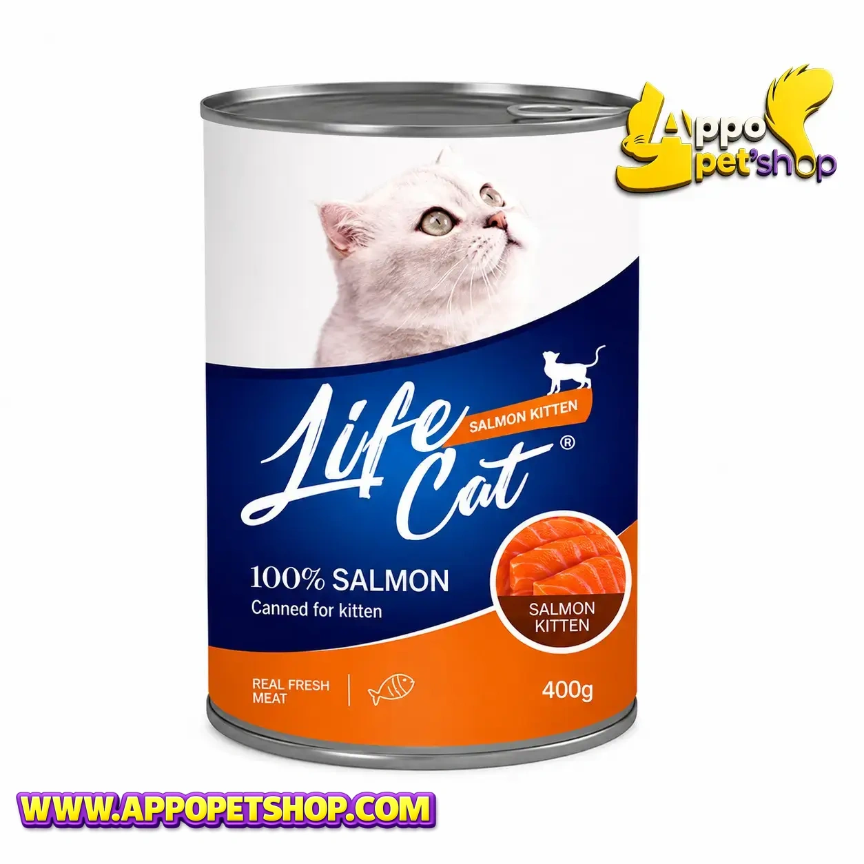 LIFE CAT KALENG all variant KITTEN Salmon