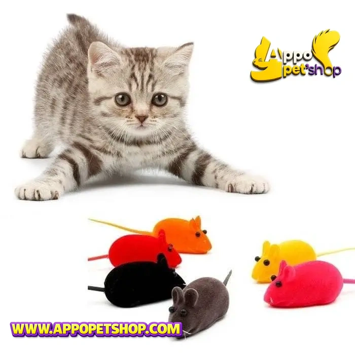 MAINAN TIKUS Random