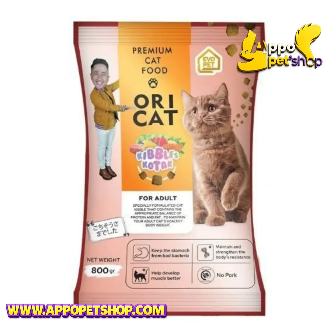 ORI CAT ADULT Bentuk Kotak