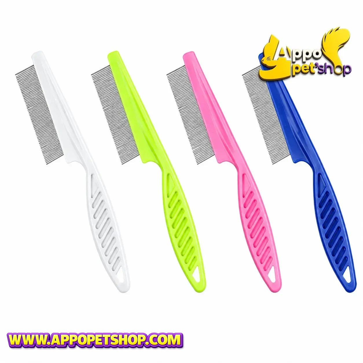 SISIR KUTU KECIL Random