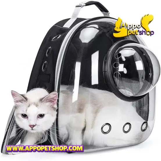 TAS ASTRONOT POLOS Random